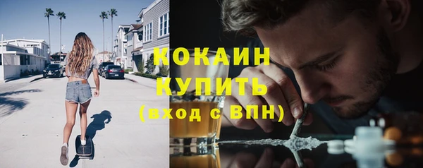 дурь Магас