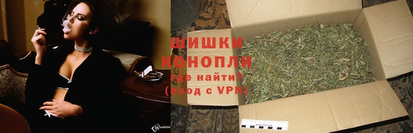 дурь Магас