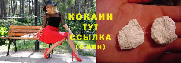 дурь Магас