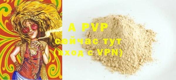 дурь Магас
