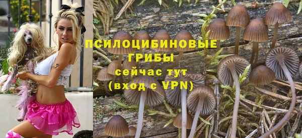 дурь Магас