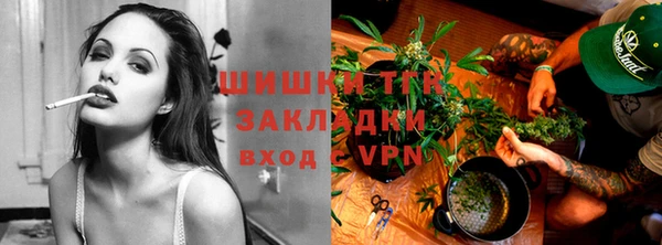 дурь Магас