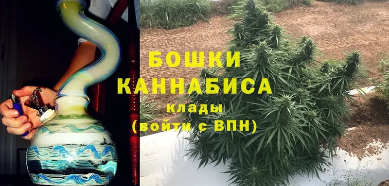 hydra ONION  магазин продажи наркотиков  Тавда  Бошки марихуана THC 21% 